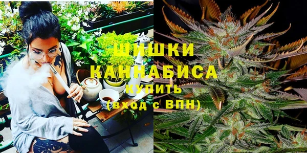 спайс Алзамай