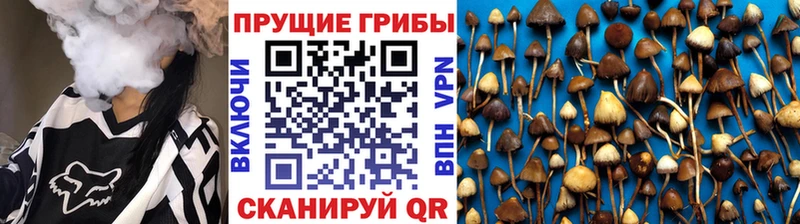 Галлюциногенные грибы мицелий  как найти закладки  Куйбышев 